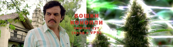каннабис Баксан